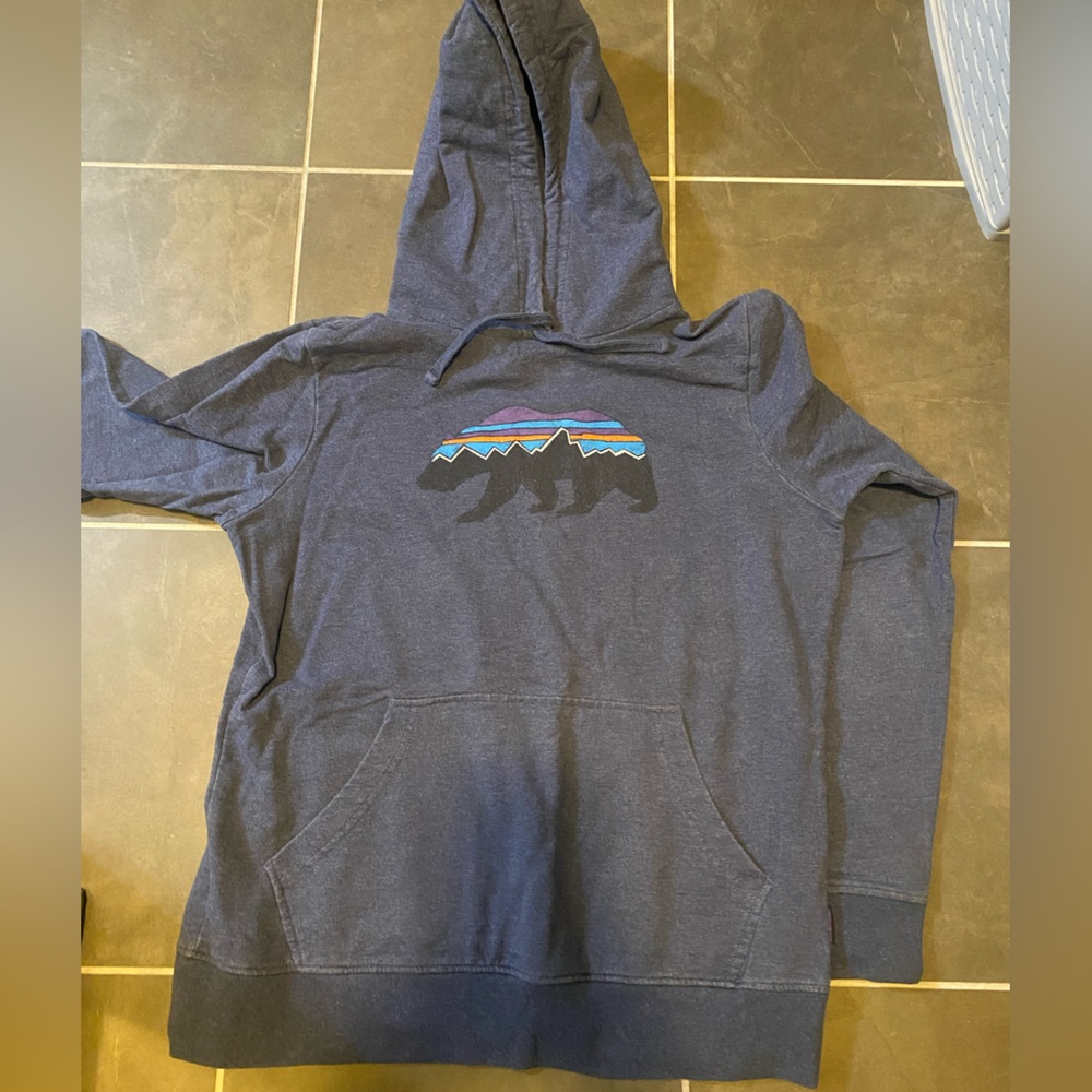 Patagonia navy bear hoodie